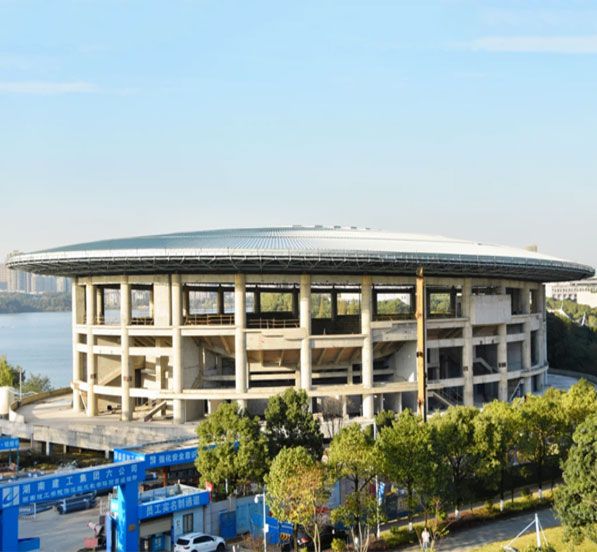 Prefabricated Dome Sports Basketball Hall Steel Structure Roof Construction